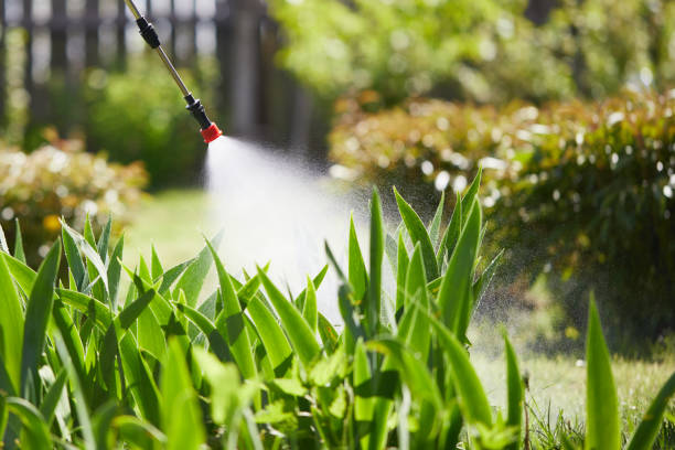 24/7 Emergency Mosquito Control experts in Westfield, MA