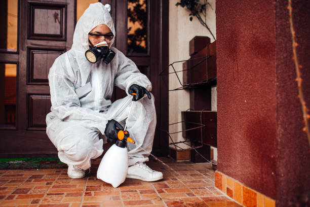 Reliable Mosquito Control contractor in Westfield, MA by Show Me Pest Control